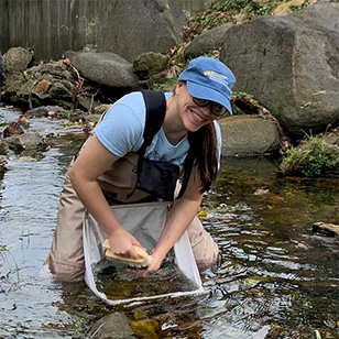 A photo of Tanya Dapkey in a river looking for specimens. 